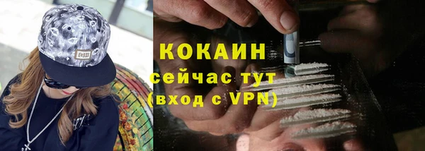 шишки Бугульма