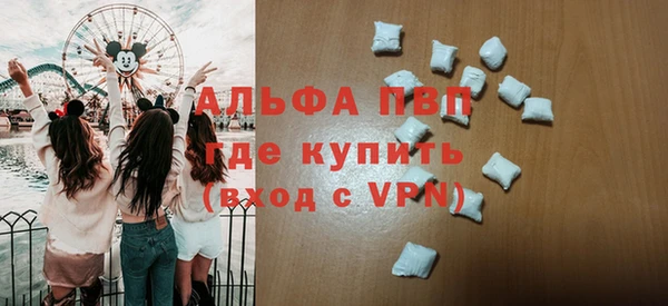 молекула духа Белоозёрский