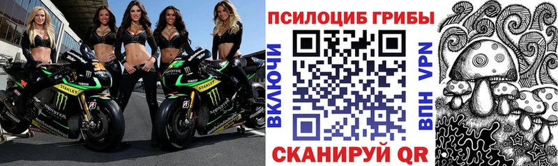 цены наркотик  Елизаветинская  Псилоцибиновые грибы мицелий 